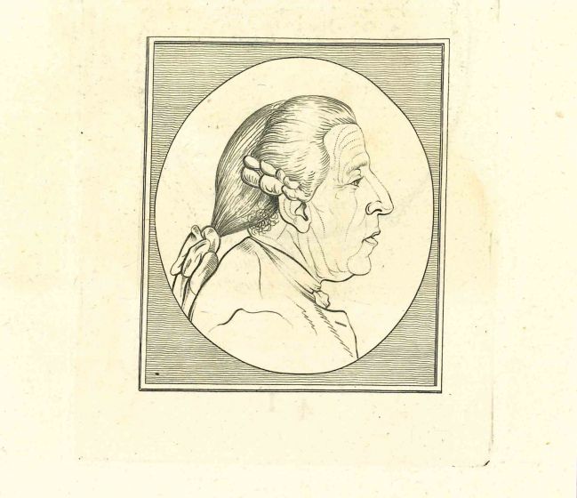 The Physiognomy - Profile