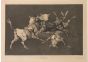 Francisco Goya, Iluvia de Toros, Etching, Aquatint, Drypoint, (1815-19), published on L'Art, 1877, Francisco Goya, toros, bulls, Artwork, Etching, Engrave, aquatint, drypoint, Disparate, Los Proverbos, Art, Revue, hebdomadaire, Francois Liénard, engraver,