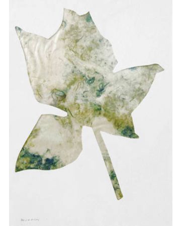 Rose by Jannis Kounellis - Contemporary Art