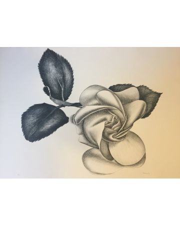Black Rose by Giacomo Porzano - Contemporary Artwork