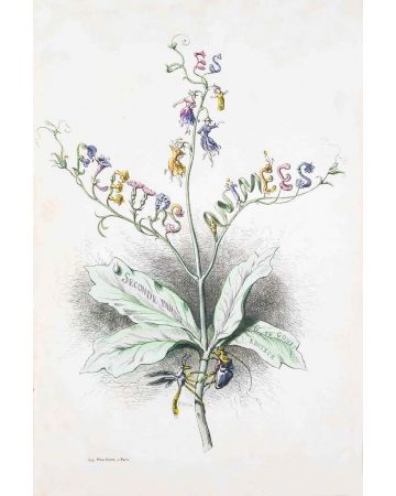 Frontispiece - Les Fleurs Animées Vol.II