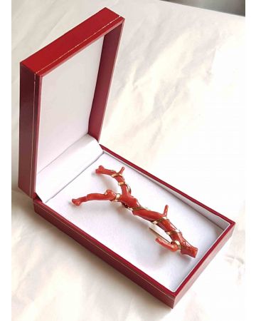 Coral and Gold Brosh - Jewellery 