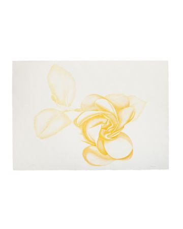 Yellow Rose by Giacomo Porzano - Contemporary Artwork