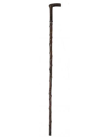 Garibaldi's Walking Stick by Anonymous - Decorative Object