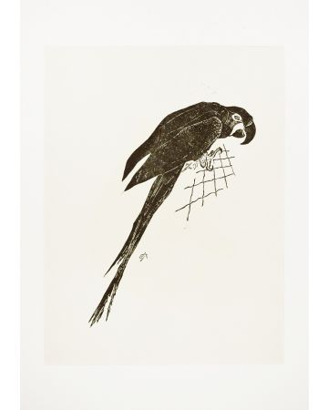 The Parrot by Raymond Brudieux - Modern Artwork