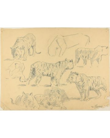 Studies of Tigers by Wilhelm Lorenz - Modern Artwork