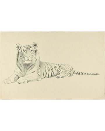 Sketch of a Tiger by Wilhelm Lorenz - Modern Artwork