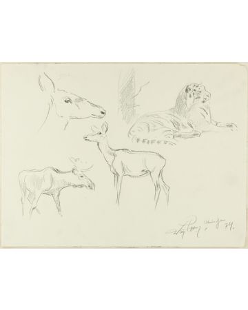 Study of animals by Wilhelm Lorenz - Modern Artwork