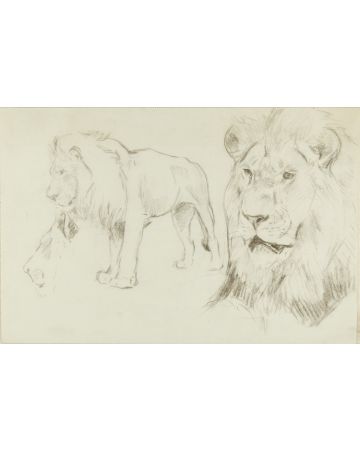 Foreground of a Lion by Wilhelm Lorenz - Modern Artwork