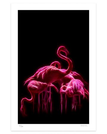 Flamingos by Dadodu - Contemporary Art Print