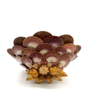 
Marine Shells Cachepot by Anonymous  - Decorative Object