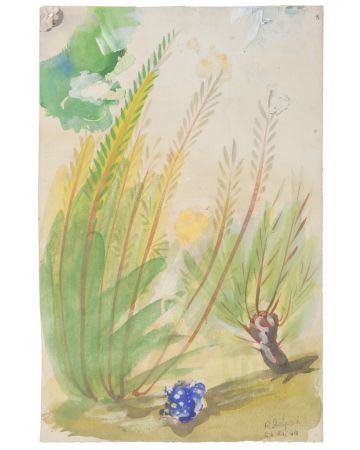 "Vegetation" is an original drawing in watercolor on paper, realized by Jean Delpech (1916-1988).