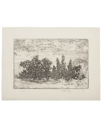 "Landscape" is an original print in etching technique on ivory-colored paper,  by Anonymous Artist of the XX Century
