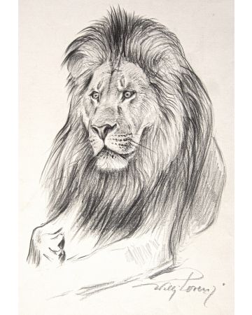 Lion by Willi Lorenz