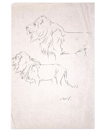 Study of a lion by Wilhelm Lorenz
