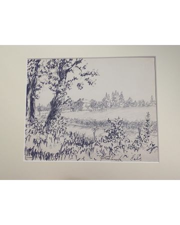 "Bush"  is an original China Ink drawing on ivory-colorated cardboard by Socrate Foscato.