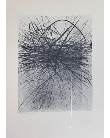 Variations in the Ether is a splendid lithograph and serigraph engraved by Gianni Saccomandi.