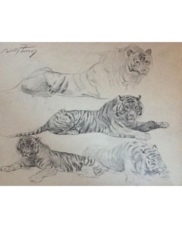 Tiger at rest by Lorenz Wilhelm