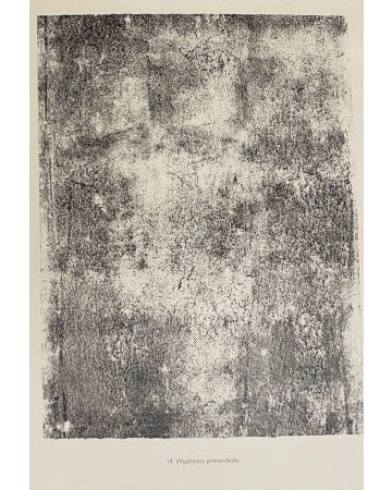 Vegetation Primordiale is an original B/W lithograph on watermarked paper "Arc". Abstract composition by the French artist Jean Dubuffet. From the album of "Theatre du sol" (1953-1959). In excellent conditions.