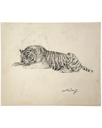 Tiger at rest by Wilhlelm Lorenz