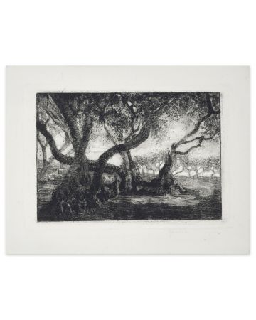 Olivi in Calabria is an original etching realized by Anonympus Artist of the 20th century.
