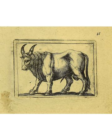 Bull by Antonio Tempesta - Artwork 