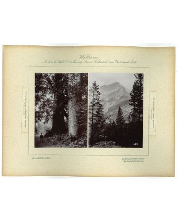 Canada - Cascada Mountains - 10 September 1893 by prince Franz Ferdinand von Osterreich Este - Artwork