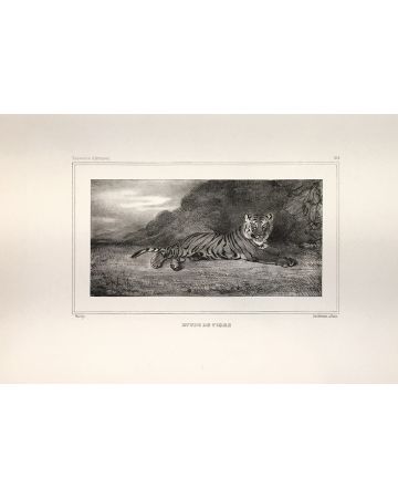 A.L BARYE, Etude de Tigre, Lithograph, 1832