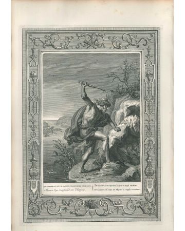 Les Alcyons, from "Le Temple des Muses", by Bernard Picart, original print