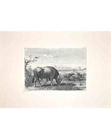 Bulls in the Roman Countryside