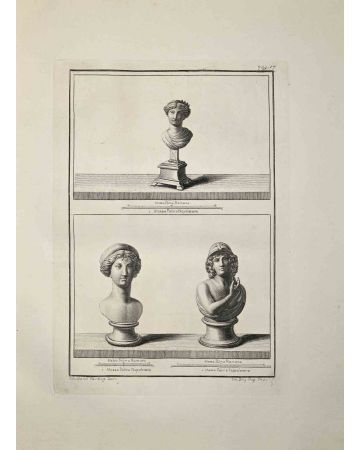 Ancient Roman Busts