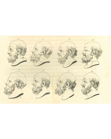 Heads of Ancient Men - Johann Caspar Lavater and Thomas Holloway - Old Master's Artwork