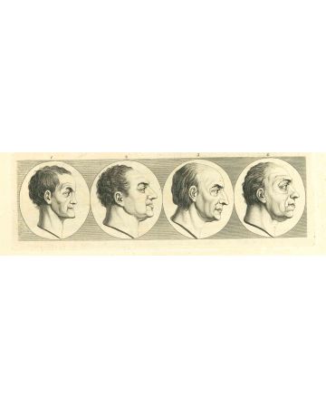 The Physiognomy - The Profile  