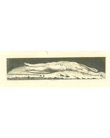 The Physiognomy - The Dead Body After Grignion