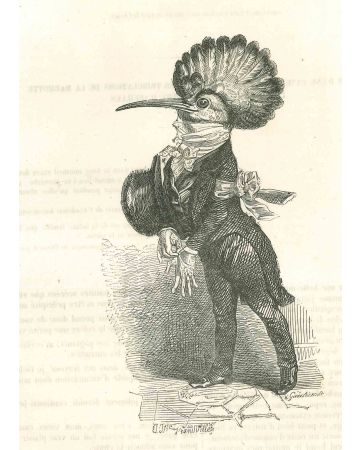 The Gentleman Woodpecker