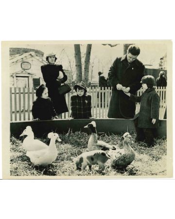 An American Zoological Garden - Vintage Photograph