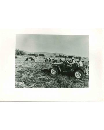 American Cattle Breeder - American Vintage Photograph