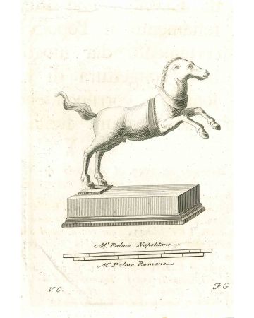 Ancient Roman Horse - Vincenzo Camapana - Old Master's Artwork