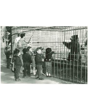 Play School - American Vintage Photograph
