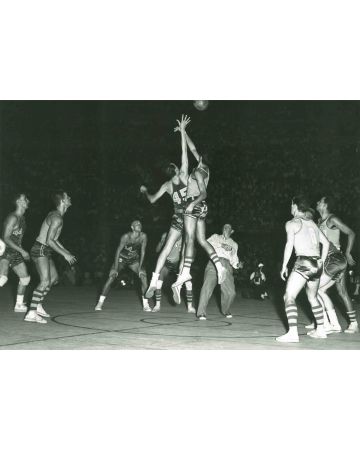 World Basketball Champion 1954 - American Vintage Photograph