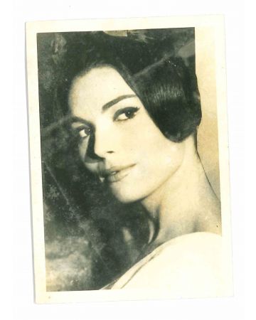 Elsa Martinelli - Vintage Photograph
