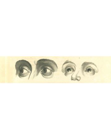 The Physiognomy - The Eyes