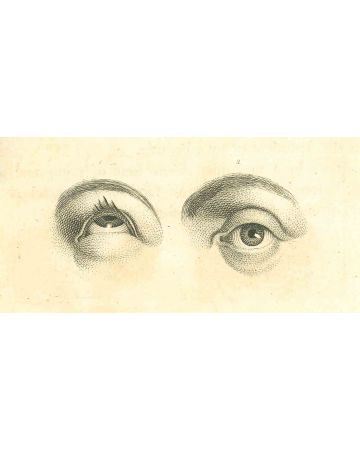 The Physiognomy - The Eyes 