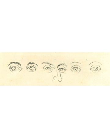 The Physiognomy - The Eyes  