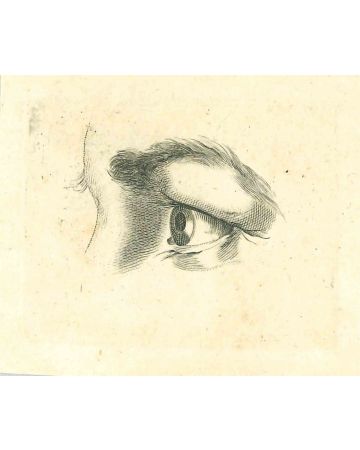 The Physiognomy - The Eye