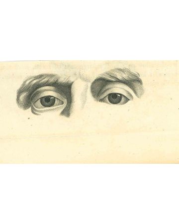 The Physiognomy - The Eyes   