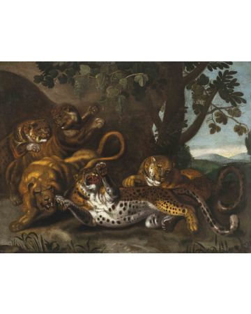 Fight Between Lions and Leopards - SOLD