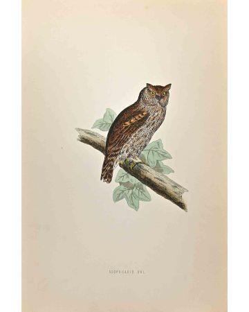 Scops-Eared Owl