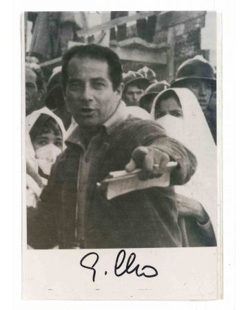 Autographed Portrait of Gillo Pontercorvo