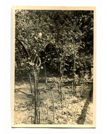 Anonymous - Old Days Garden - Historical Photograph 